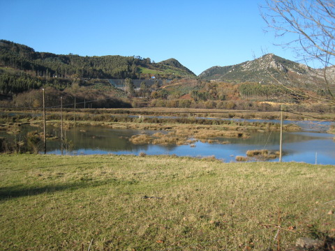 oriñon