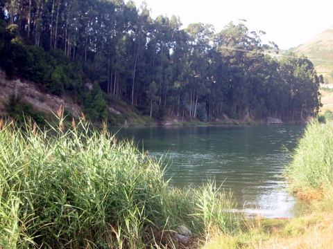 estuario del río pas