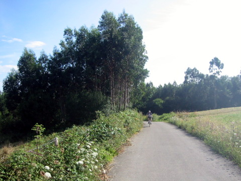 Subida desde oyambre