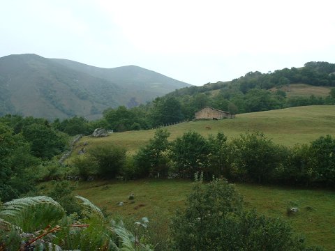 foto1