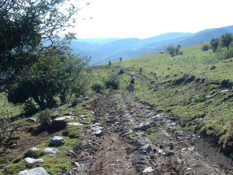 foto1