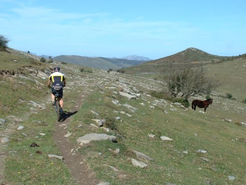 foto2
