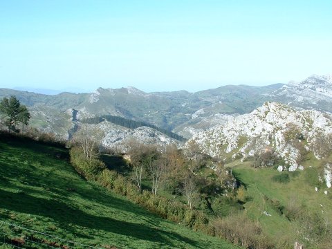 foto2