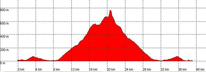 perfil ruta 31