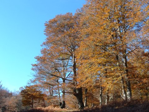foto2
