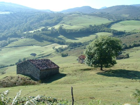 foto1