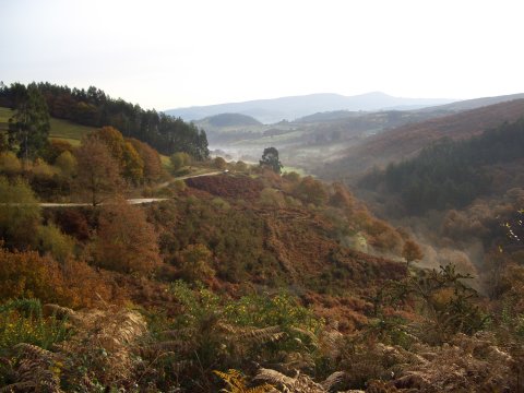 foto1