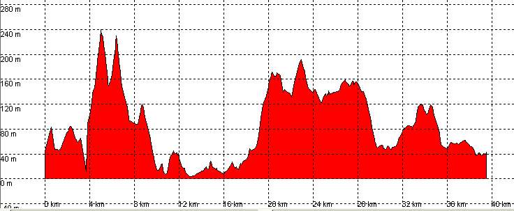 perfil ruta 60