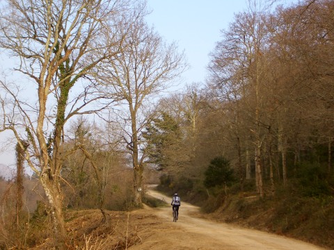 foto2