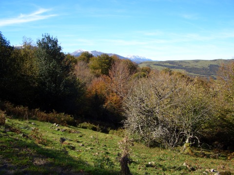 foto13