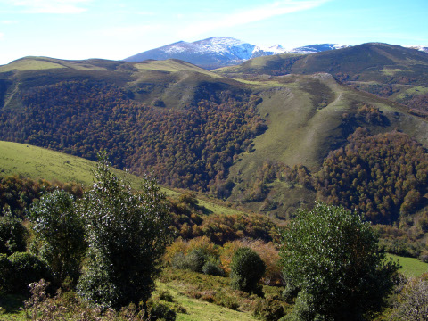 foto 15