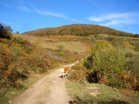 foto2