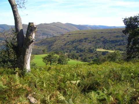 foto14