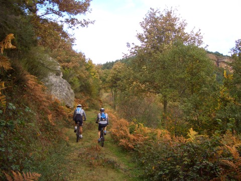 foto 8