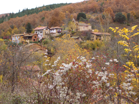 foto1