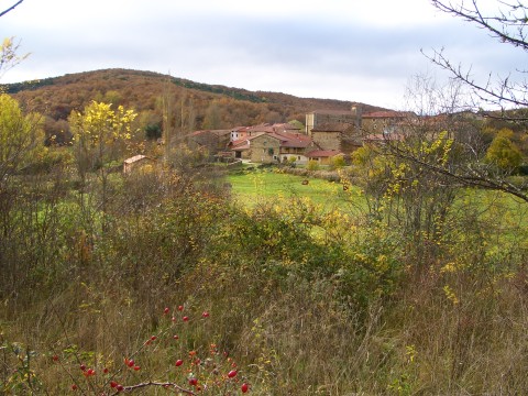 foto2