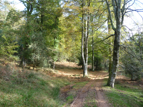 foto2
