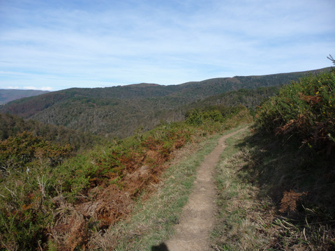 foto5