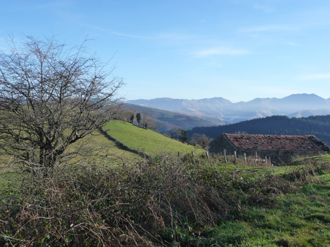 foto2