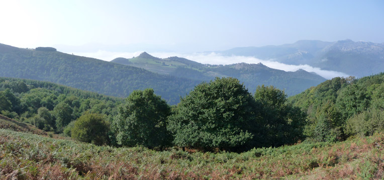 aguera
