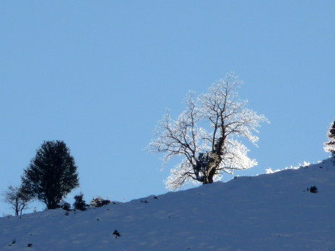 foto4