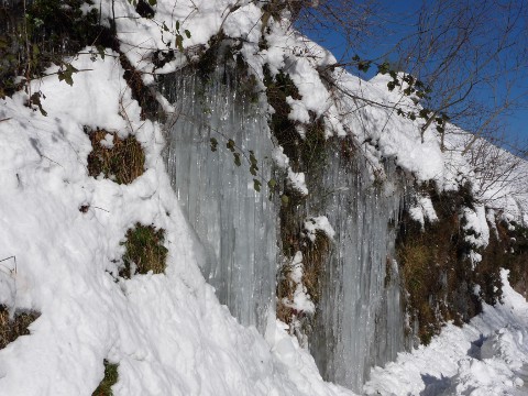foto8
