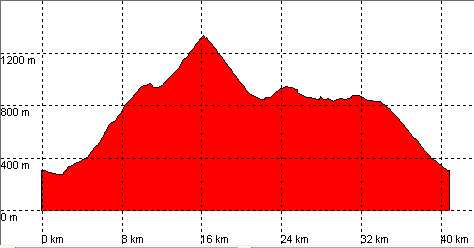 Perfil ruta 6