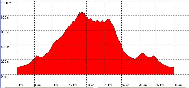 Perfil ruta 11