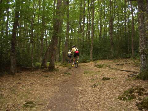 foto2