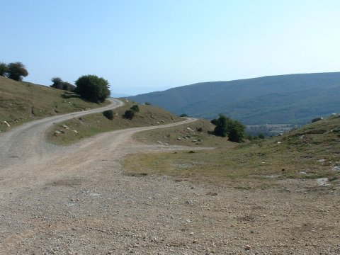 foto1