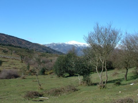 foto1