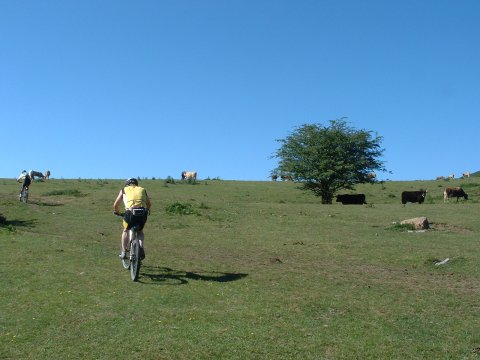 foto2