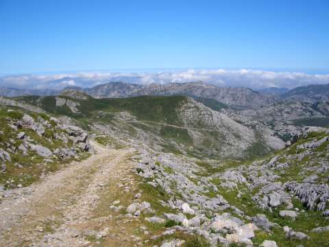 foto 8
