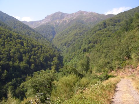 foto1