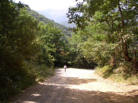 foto2