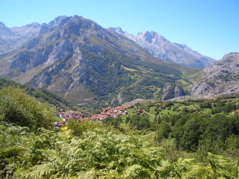 foto 8