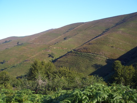 foto1