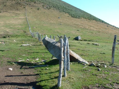 foto19