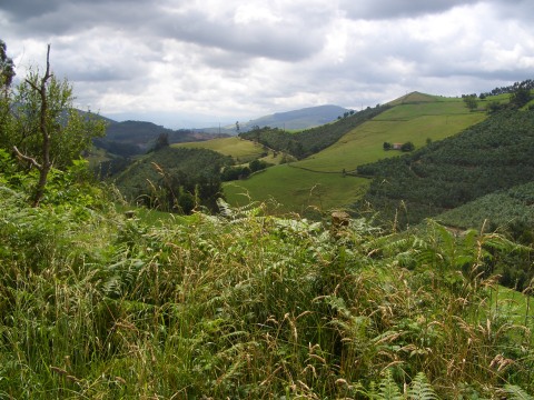 foto10