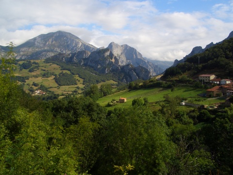 foto1