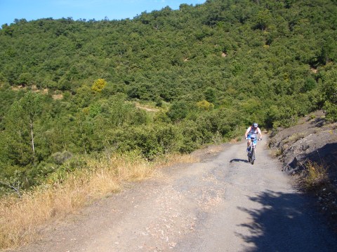 foto5