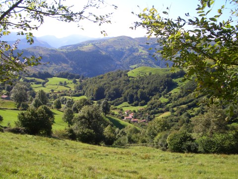 foto2