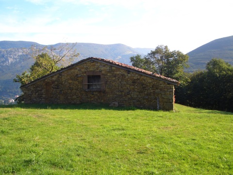 foto1