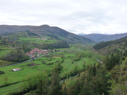 foto1