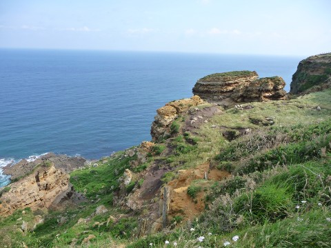 foto1