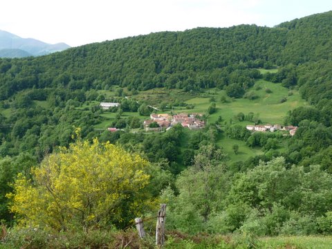 foto2