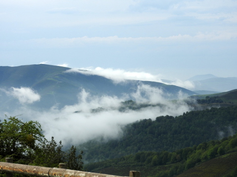 La Niebla